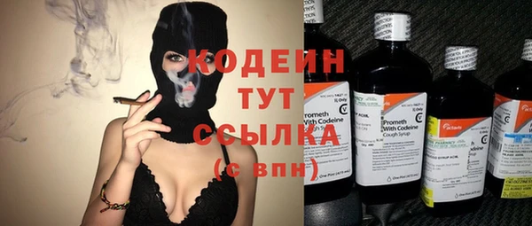 шишки Горняк