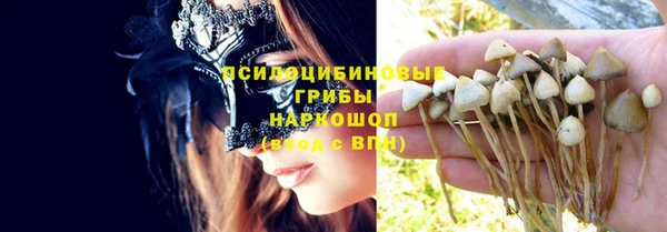 гашик Горнозаводск