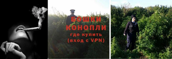 ALPHA PVP Гусев