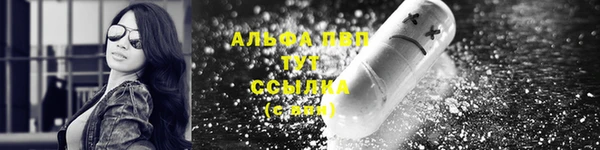 шишки Горняк