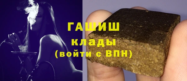 шишки Горняк