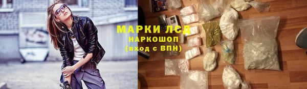шишки Горняк
