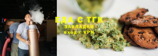 шишки Горняк