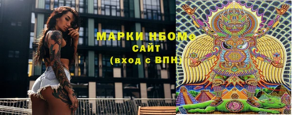 шишки Горняк
