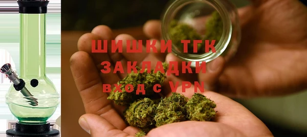 шишки Горняк