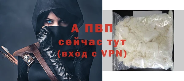 шишки Горняк
