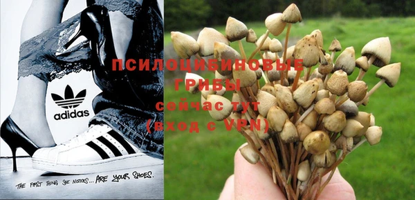 MDMA Горно-Алтайск
