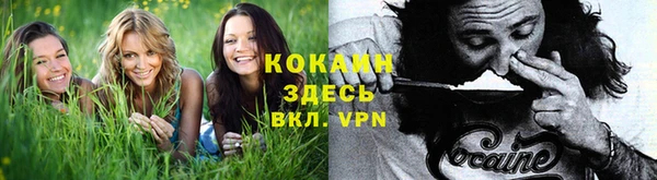 бошки Гусь-Хрустальный