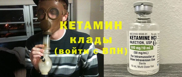 шишки Горняк