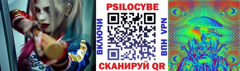 hydra зеркало  Санкт-Петербург  Галлюциногенные грибы Psilocybe 